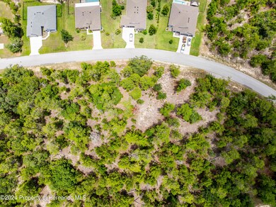 13 Lone Pine St, Sugarmill Woods, FL 34446 - photo 6