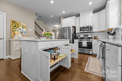 Roll out cabinets in island.