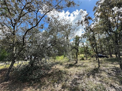 TBD SE 134 Ct, Dunnellon, FL 34431 - photo 4