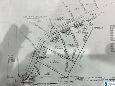 1 Springs Cove Rd, Warrior, AL 35180 - photo 2