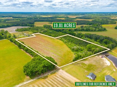 0 Drum Dr, Nicholls, GA 31554 - photo 3