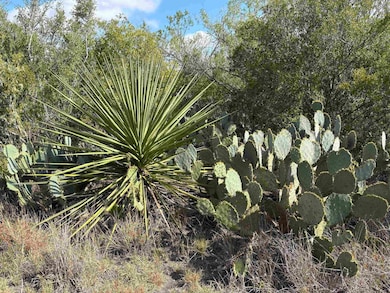 0 Farm To Market Road 889, George West, TX 78022 - photo 2