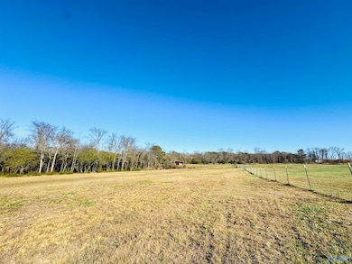 627 Neel School Rd, Danville, AL 35619 - photo 7