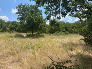 1613 White Bluff Dr, Whitney, TX 76692 - photo 7