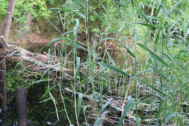 7300 Oak Ridge Place unit 5A, Chincoteague, VA 23336 - photo 7