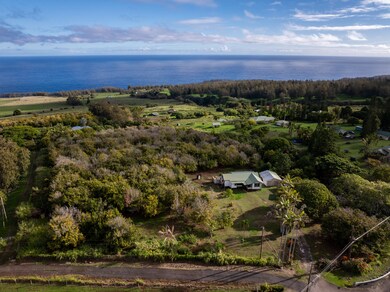 44-2248 Hawai?i Belt Rd, Honokaa, HI 96727 - photo 5
