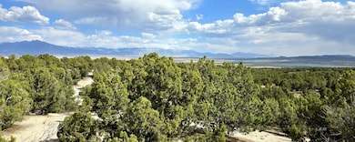 816 Hamilton Stage Rd, Elko, NV 89801 - photo 7