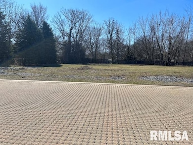 238 12th Ave, Moline, IL 61265 - photo 3