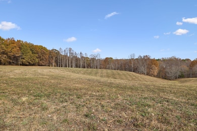 5515 Old Highway 96, Franklin, TN 37064 - photo 3