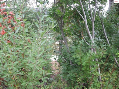 10 Parallel Run, Sandpoint, ID 83864 - photo 4