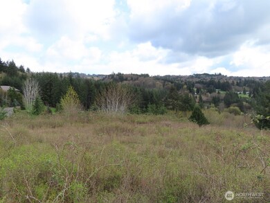 903 Confer Rd, Kalama, WA 98625 - photo 5