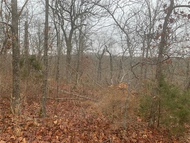 0 Dolly Cir unit 1177502, Bella Vista, AR 72715 - photo 4