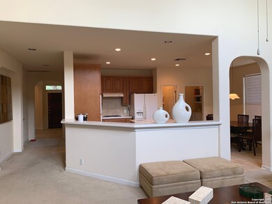 24115 Waterhole Ln, San Antonio, TX 78261 - photo 5