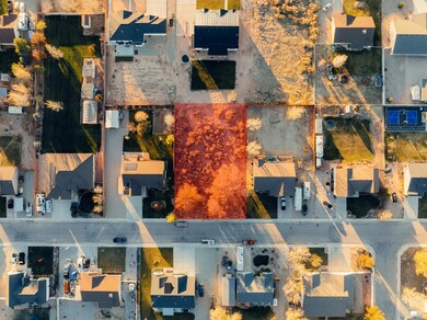 20241121-DJI_0930_HL