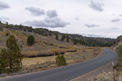 Burns-Izee Rd, Hines, OR 97738 - photo 2