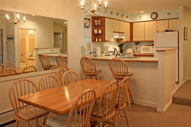 84 Harrison Ln unit J104, Ludlow, VT 05149 - photo 5