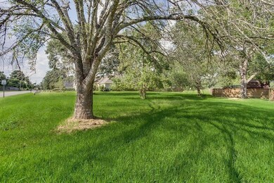 0 Martens Rd, Tomball, TX 77375 - photo 6