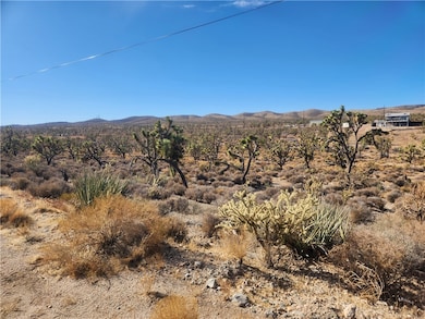 0000 N Tamarisk & Rainbow, Meadview, AZ 86444 - photo 3