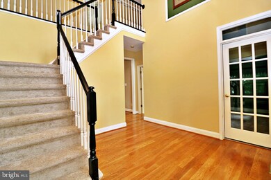21 N Tamarac Dr, Shepherdstown, WV 25443 - photo 5