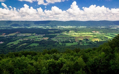 View Summer