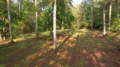 000 Perrott Rd, McComb, MS 39648 - photo 3