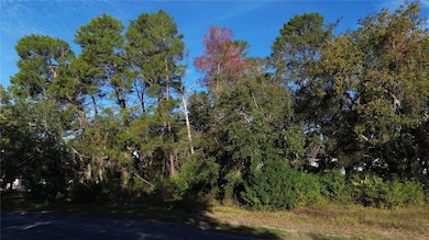 7939 Rhanbuoy Rd, Spring Hill, FL 34606 - photo 2