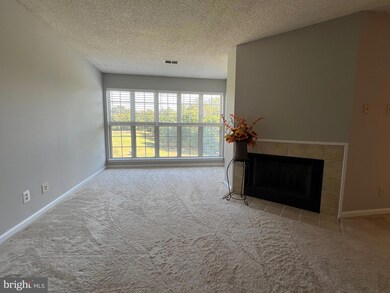 12100 Greenway Ct unit 202, Fairfax, VA 22033 - photo 6
