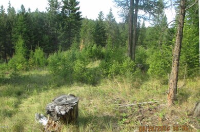 189 Torto Loop, Kila, MT 59920 - photo 5