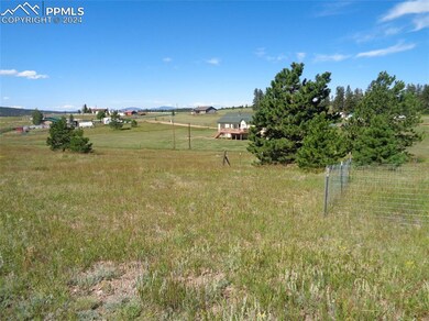 33 Grandview Cir, Divide, CO 80814 - photo 7