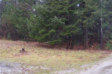 Quite a large section of woods for...
