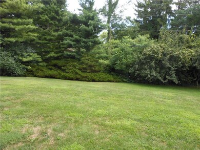 VIEW OF BACKYARD