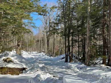 360 Dorman Rd, Andover, VT 05143 - photo 5