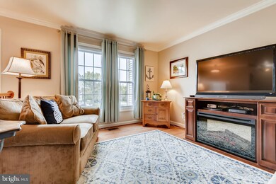 7905 Brightmeadow Ct, Ellicott City, MD 21043 - photo 7