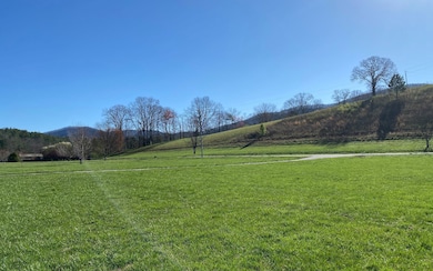 LOT 5 Woodpecker Resort, Blue Ridge, GA 30513 - photo 4