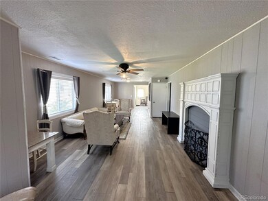 312 6th St, Hugo, CO 80821 - photo 6