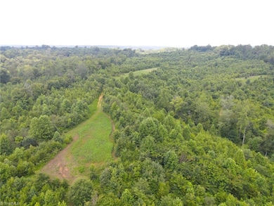 252 Palm Rd, Reidsville, NC 27320 - photo 4