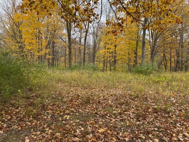 000 W Clear Lake Rd, Buchanan Township, MI 49107 - photo 3