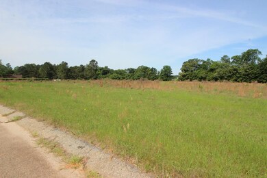 4408 Wilson Rd, Hephzibah, GA 30815 - photo 4