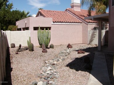 Large back yard