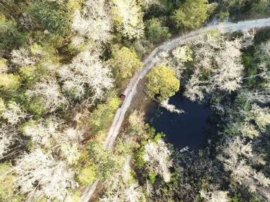 0 Harley Davidson Ln unit 304344, Crawfordville, FL 32327 - photo 4