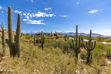 1173 W Tortolita Mountain Cir unit 182, Oro Valley, AZ 85755 - photo 4