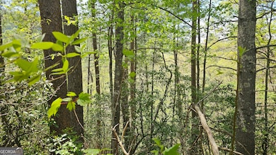 0 Heavenly Cir unit 19 10509010, Clayton, GA 30525 - photo 6