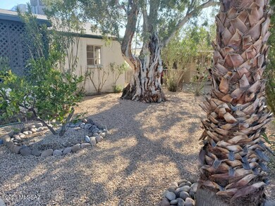front yard