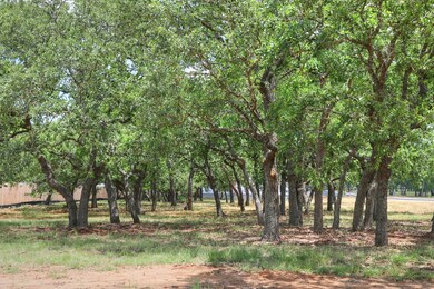 2207 Stone Meadow unit 359, Fredericksburg, TX 78624 - photo 3