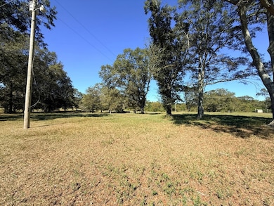 0 County Road 32, Newville, AL 36353 - photo 7