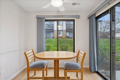 1010 E Glavin Ct unit 1807, Palatine, IL 60074 - photo 4