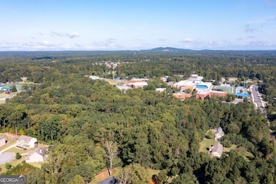 2526 New MacLand Rd, Powder Springs, GA 30127 - photo 3