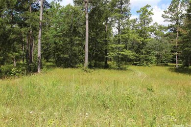 0 Highway 167 S unit 20002810, Sheridan, AR 72150 - photo 2