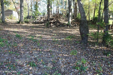 0 Abby Ln, Jacksboro, TN 37757 - photo 4