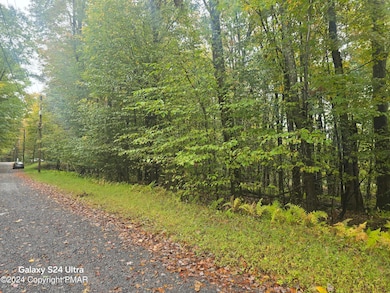 10 Comanche Trail, Pocono Lake, PA 18347 - photo 3